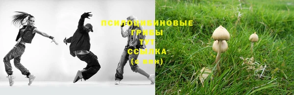 молекула духа Абинск