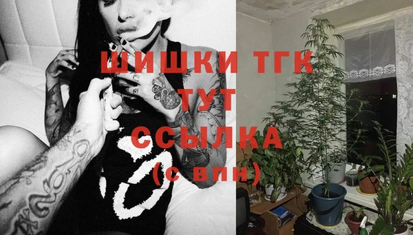 молекула духа Абинск